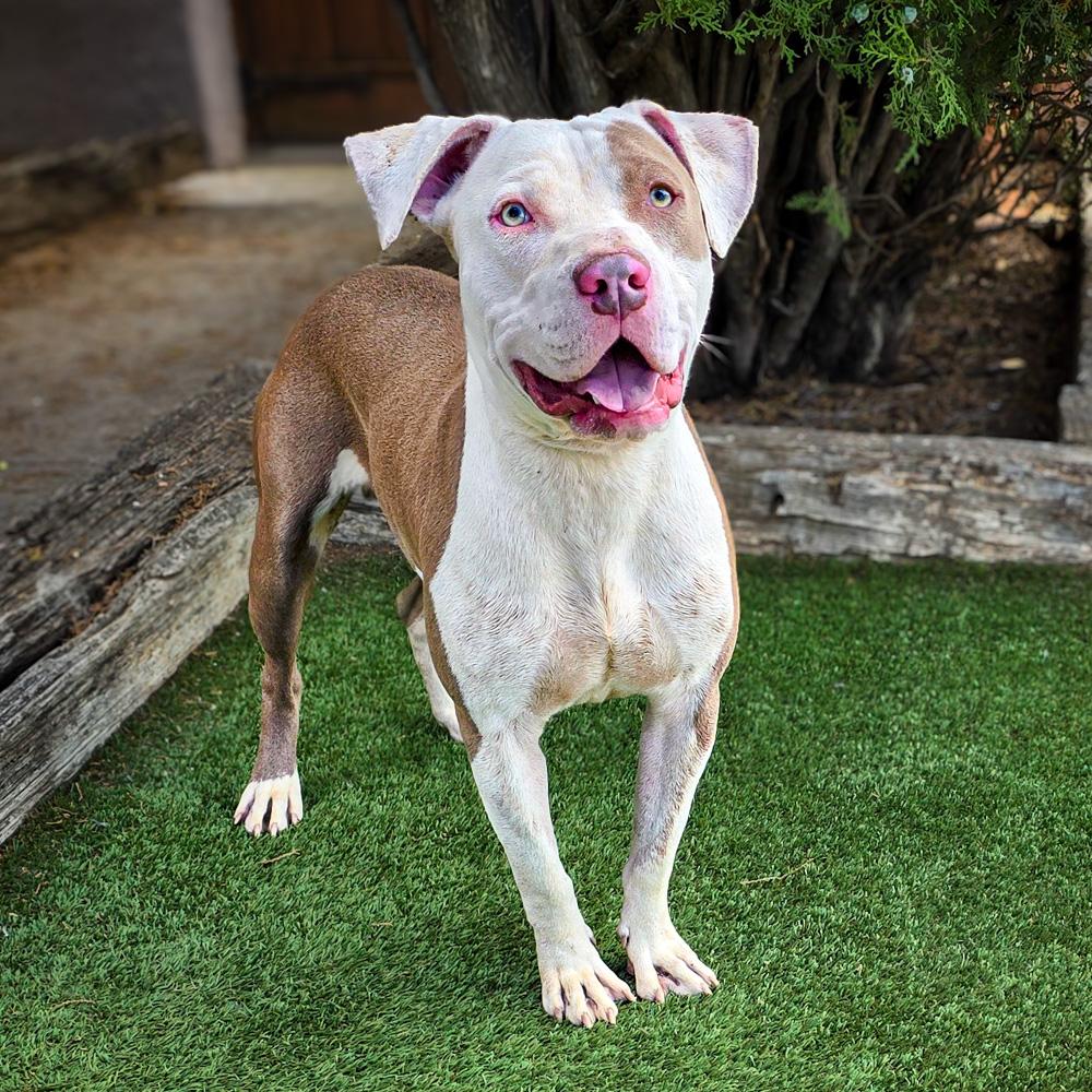 Joyful Mr Judd ~ SWEET !