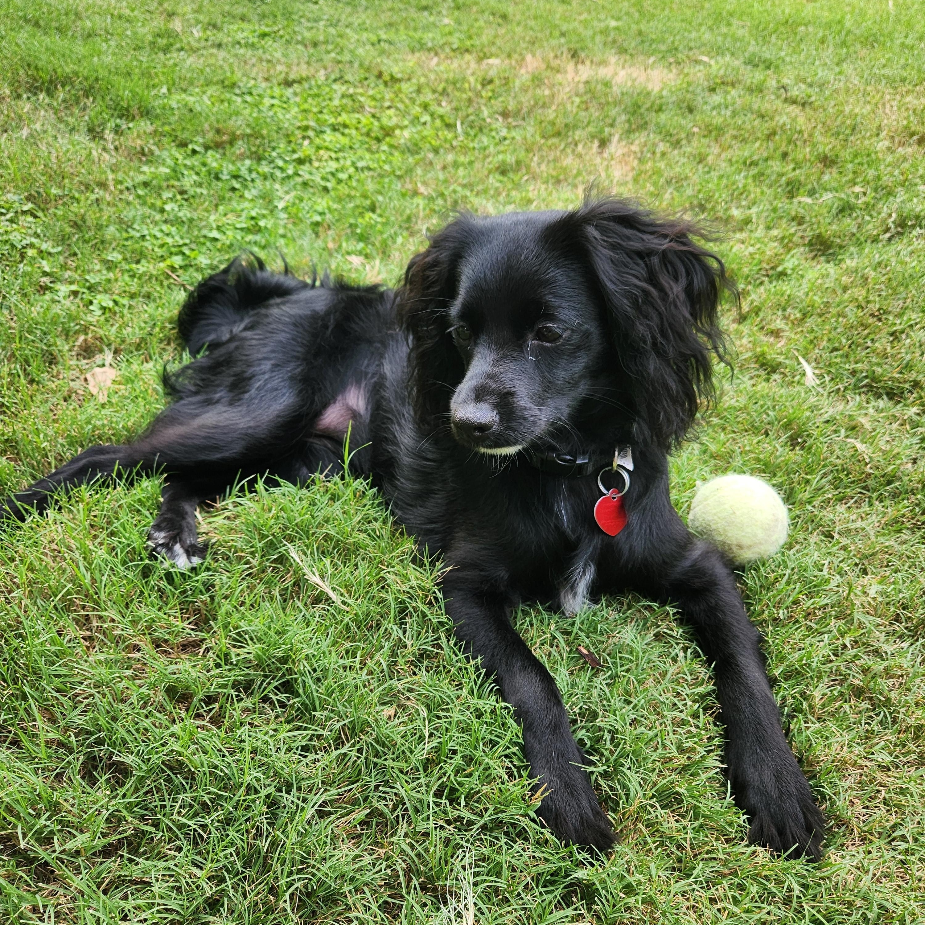 Minnie