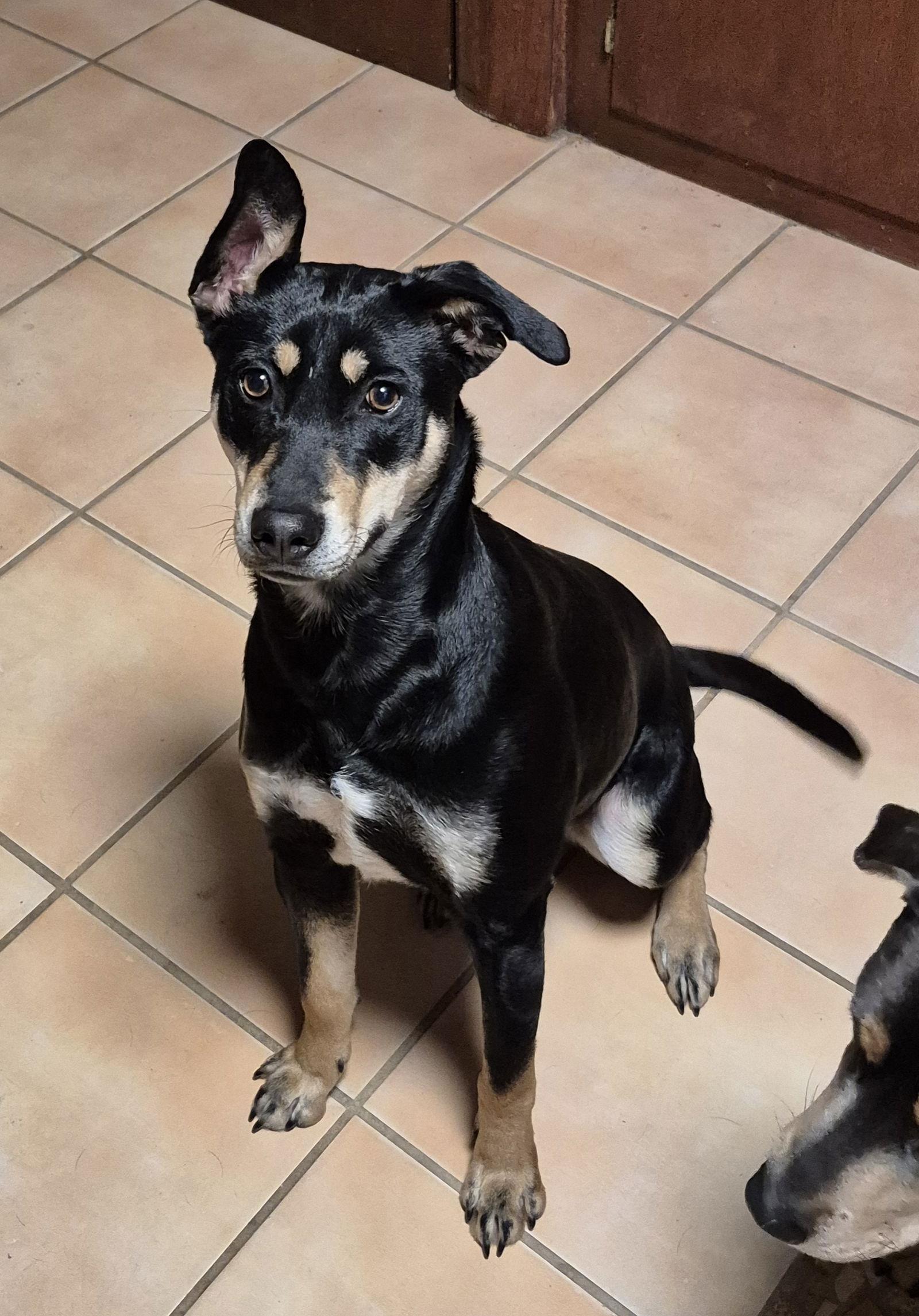 Dot Clarke aka Dip and Dot — thumbnail 3