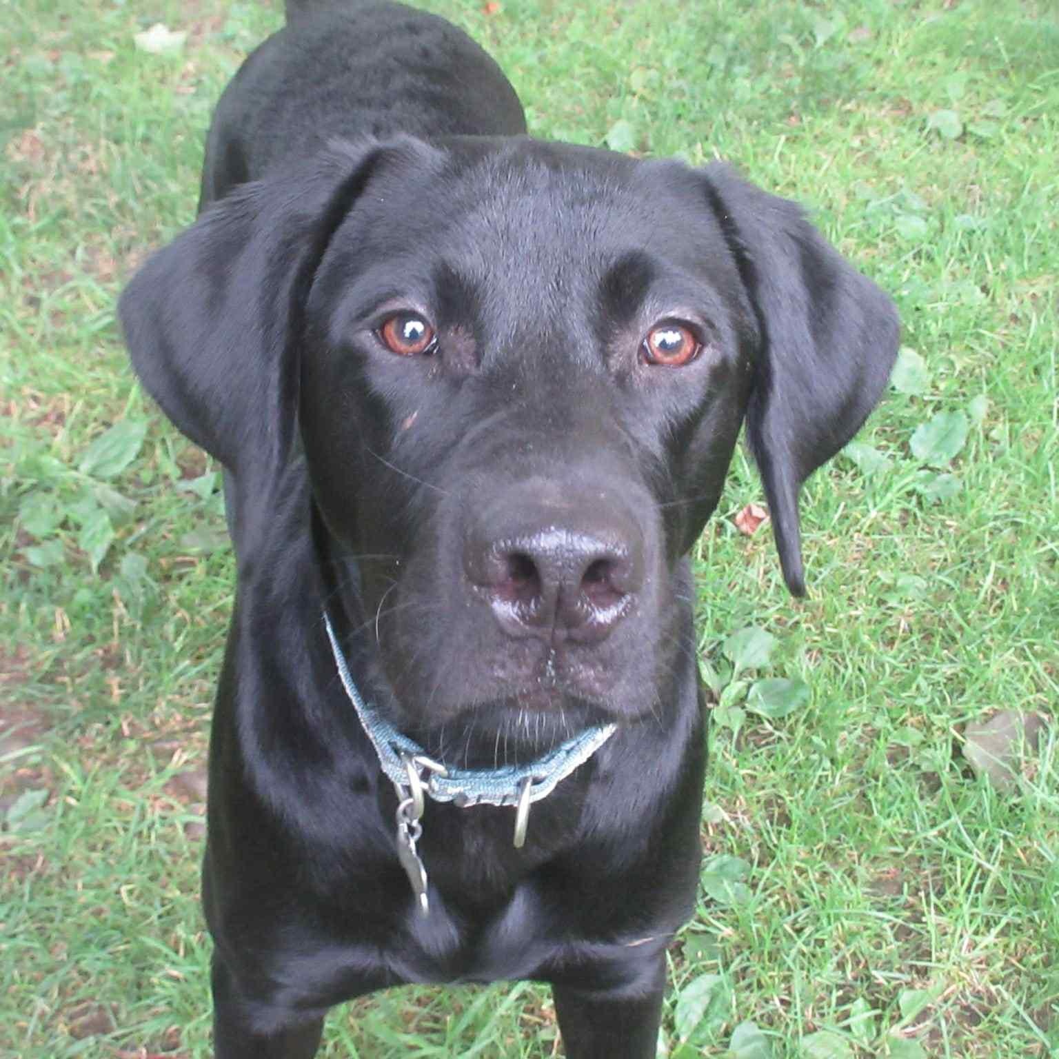 Jett
