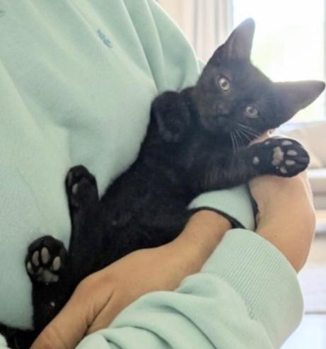 Luna  Lucky  thumbnail 5