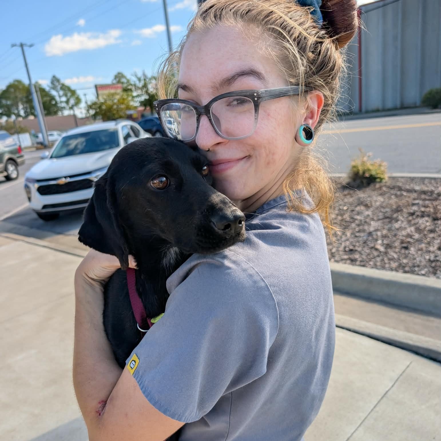 Sybil, a ADOPTABLE mixed breed in Hopkinton, MA image 3/6