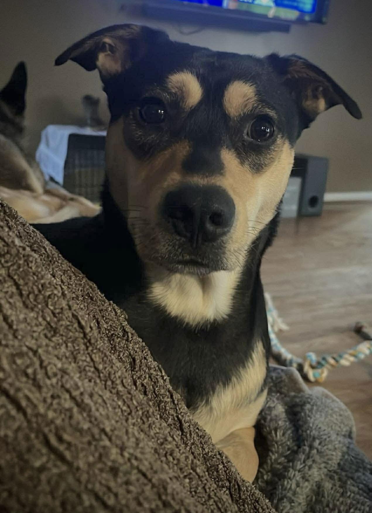 Kiko — thumbnail 3