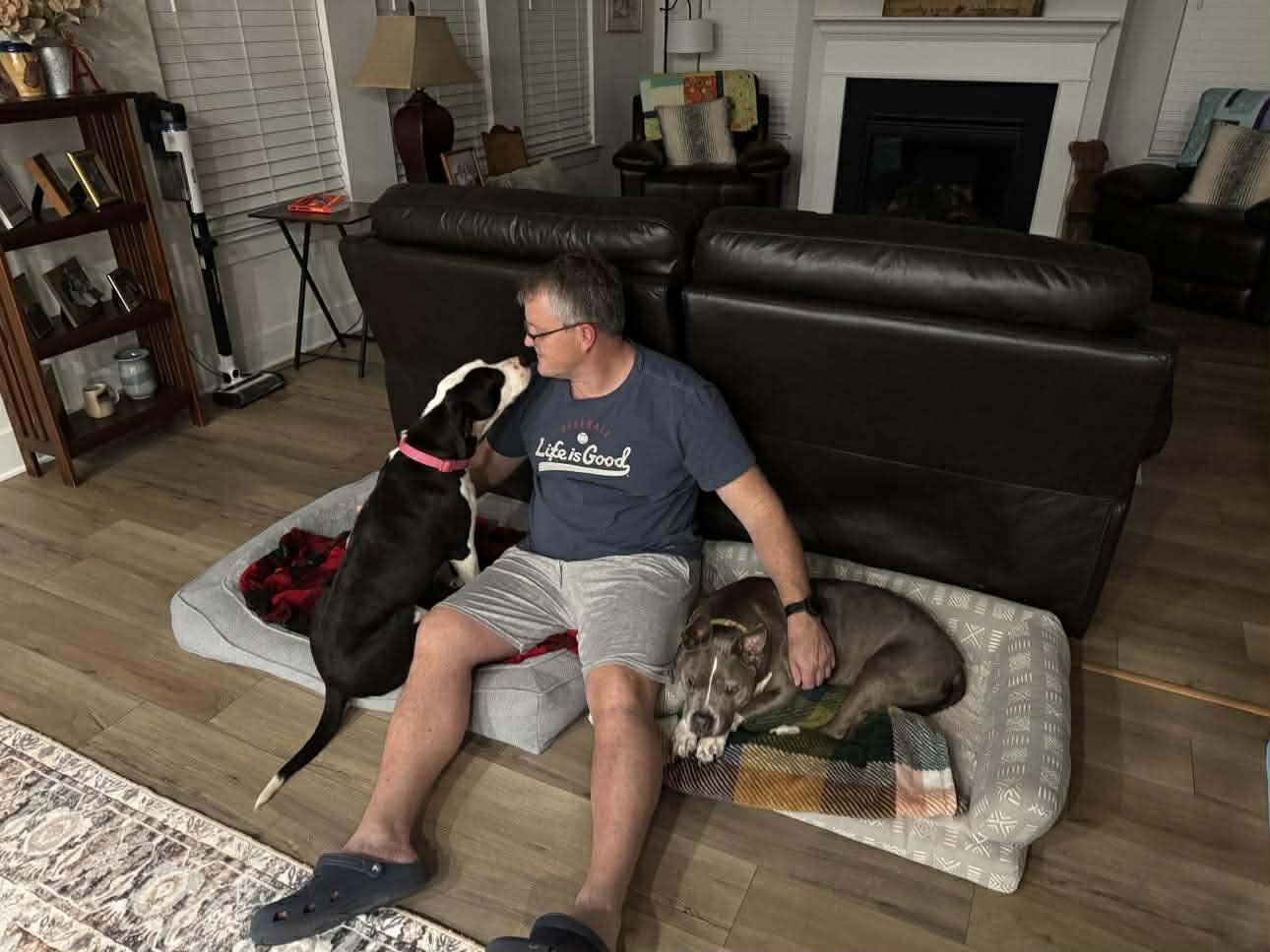 Enlarge Betsy, a ADOPTABLE mixed breed in Blue Bell, PA image 4/6