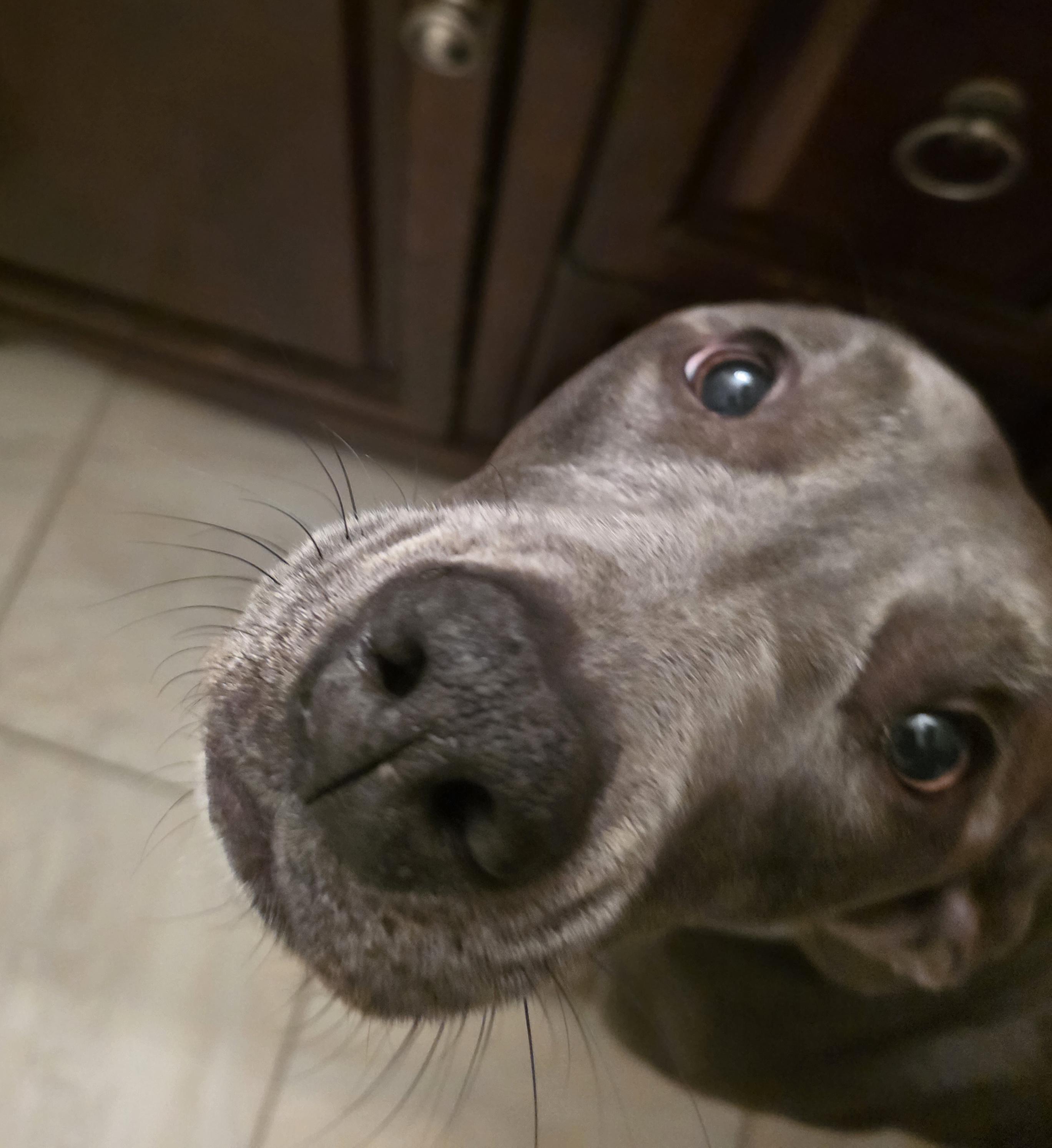 Jade — thumbnail 2