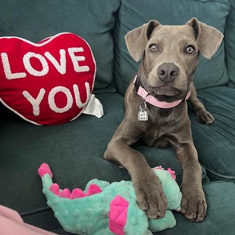 Willa — thumbnail 2