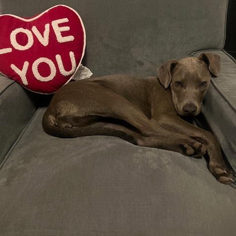 Willa — thumbnail 5