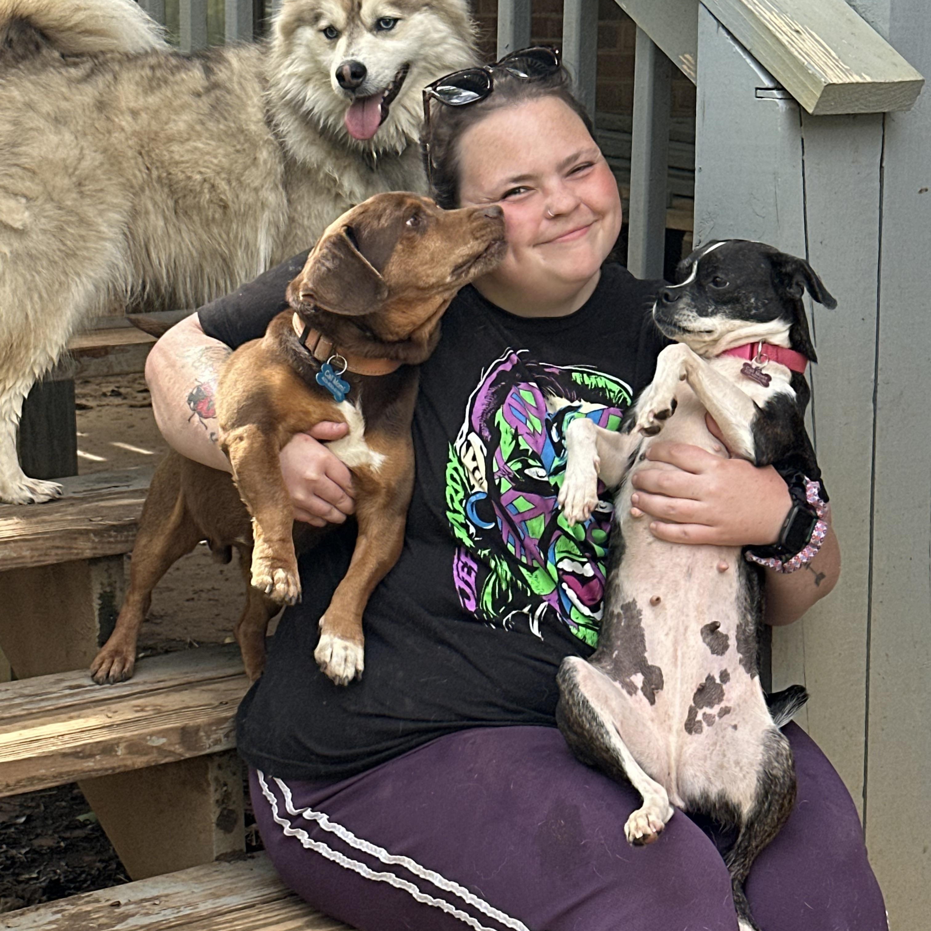 Enlarge Rigby, a ADOPTABLE mixed breed in Sherman, CT image 6/6