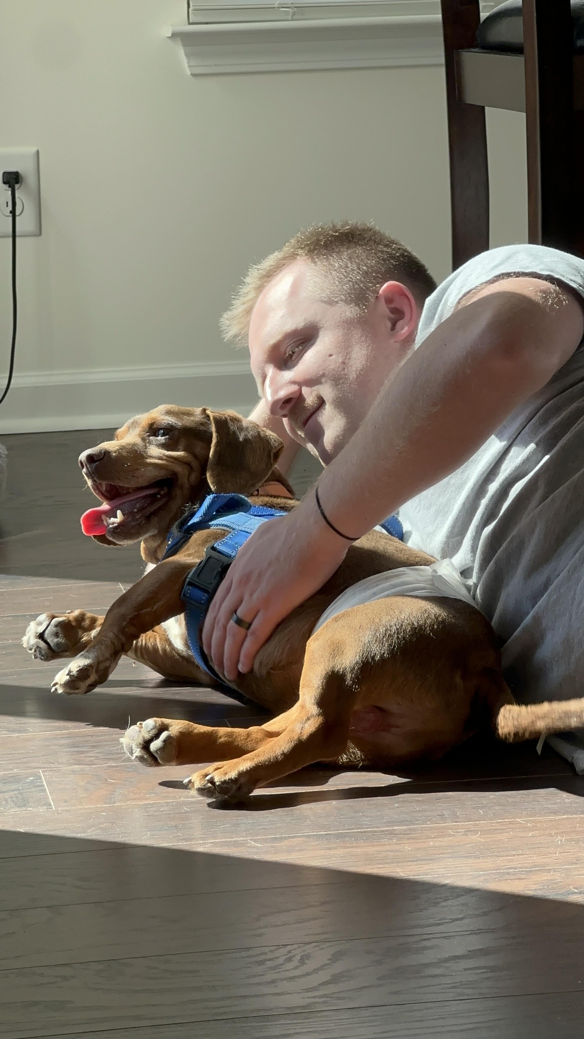 Enlarge Rigby, a ADOPTABLE mixed breed in Sherman, CT image 3/6