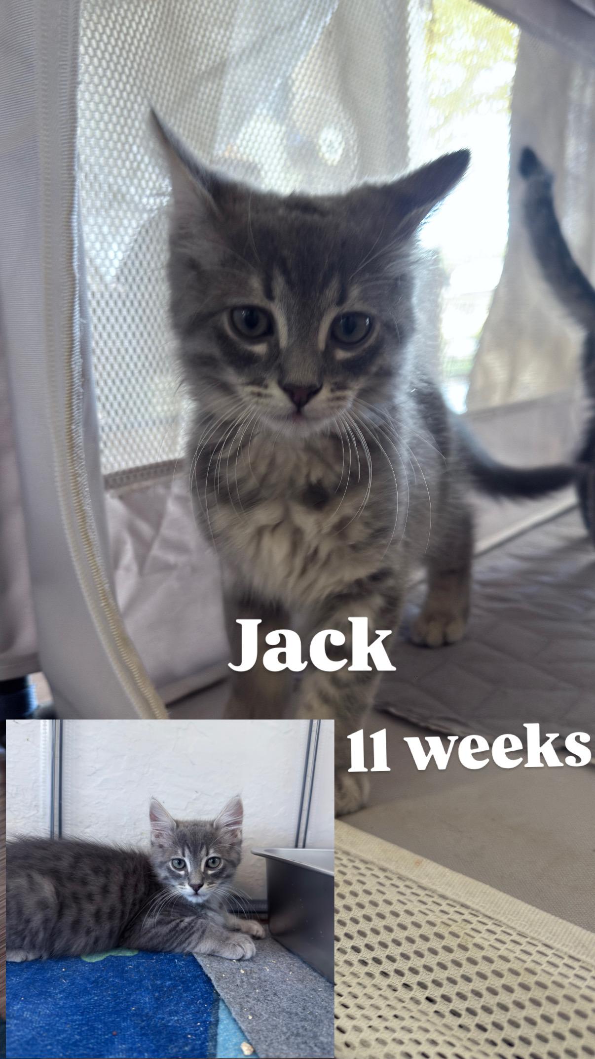 Jack