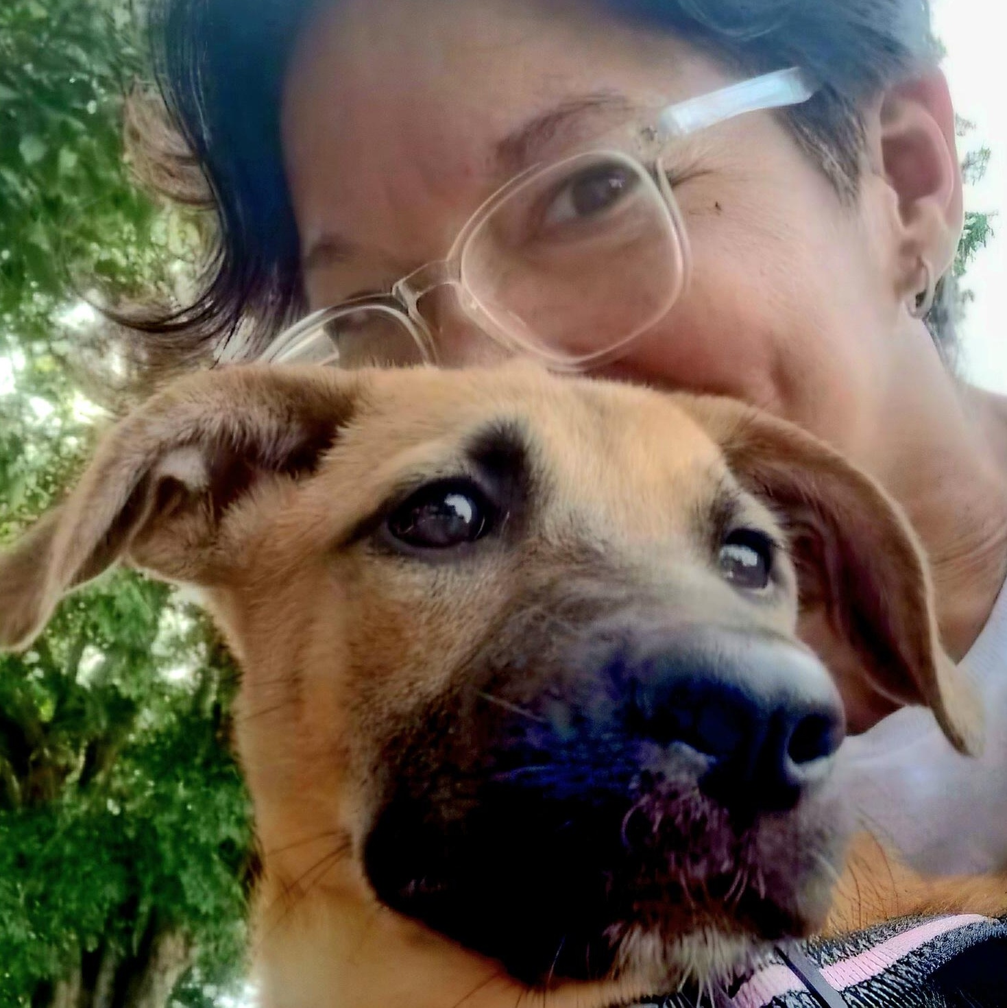 Cami "one Girl. Much thumbnail 2