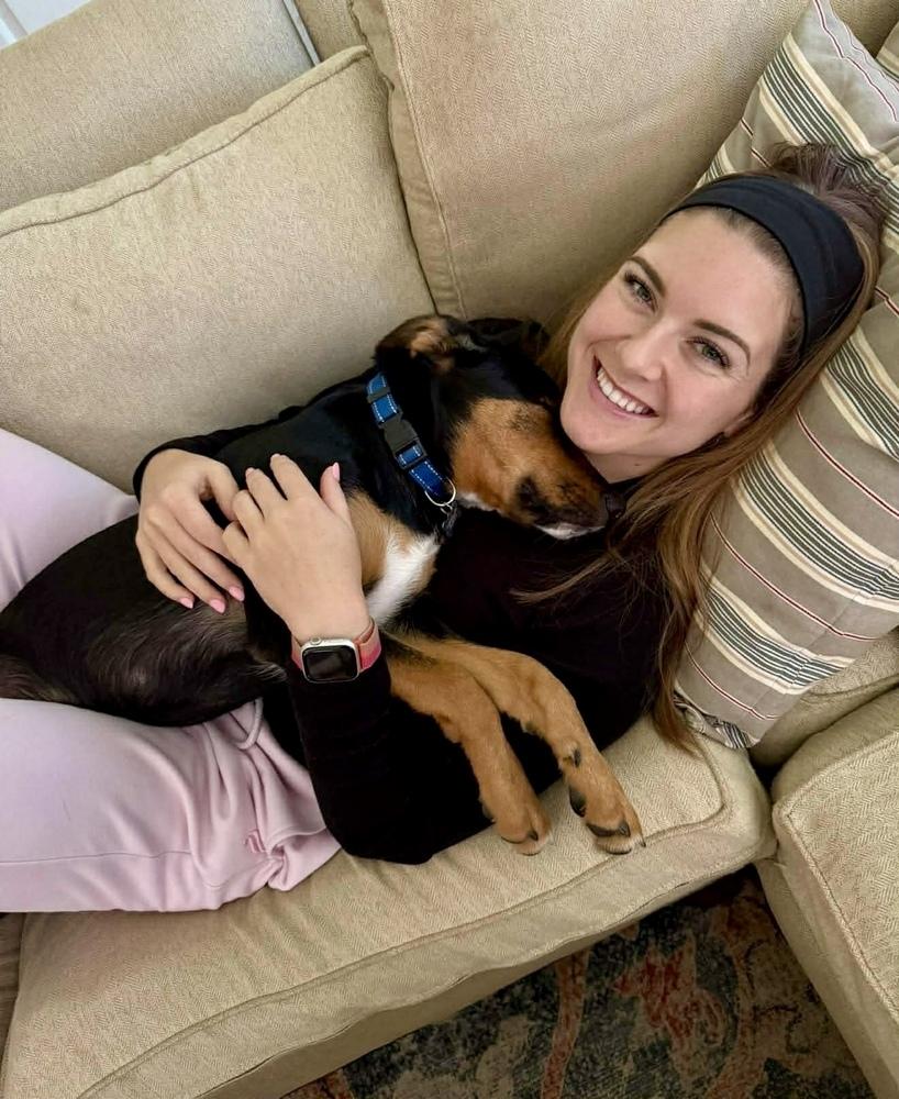 Enlarge Negan, a Adoptable mixed breed in Middletown, CT image 5/6