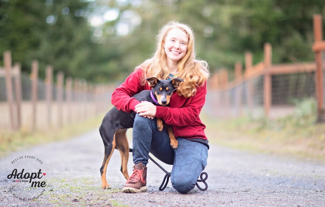 Rosie, a Adoptable mixed breed in Seattle, WA image 3/6