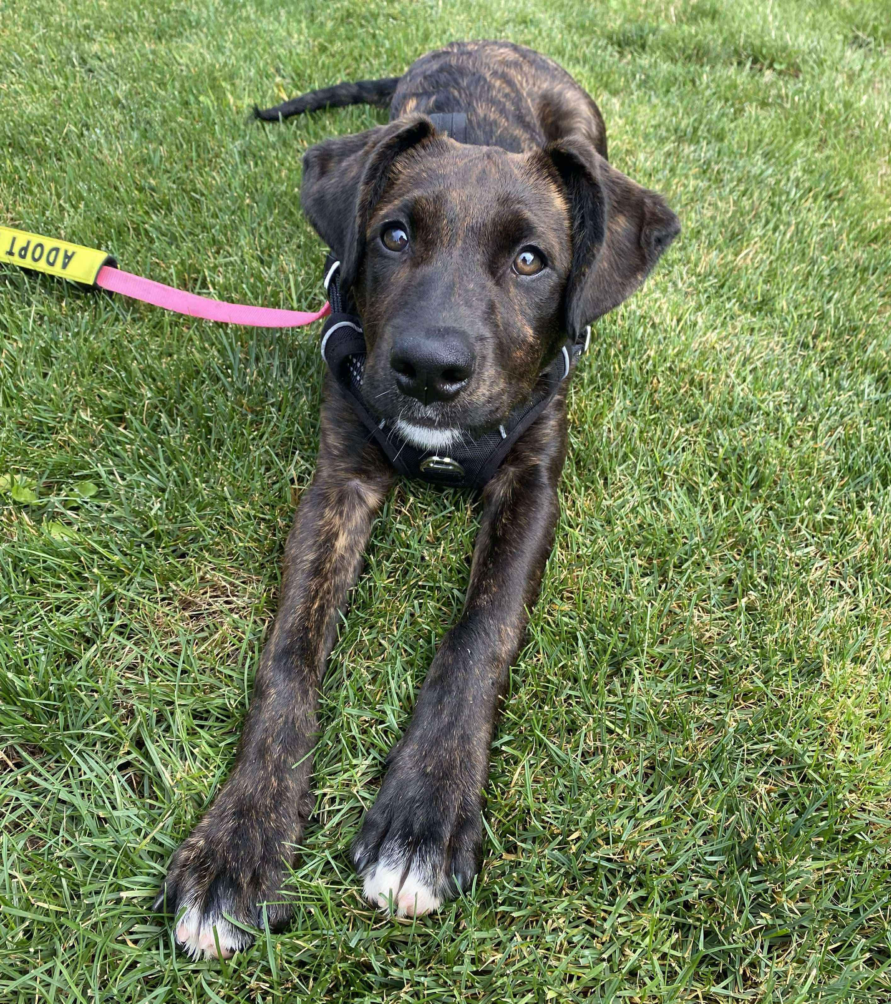Margarita (Cocktail Party litter)
