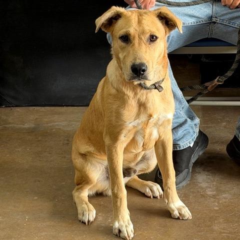 Johnny Walker thumbnail 3