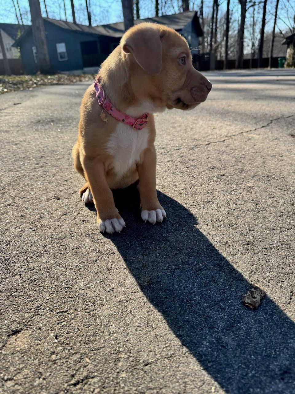 Margot — thumbnail 4