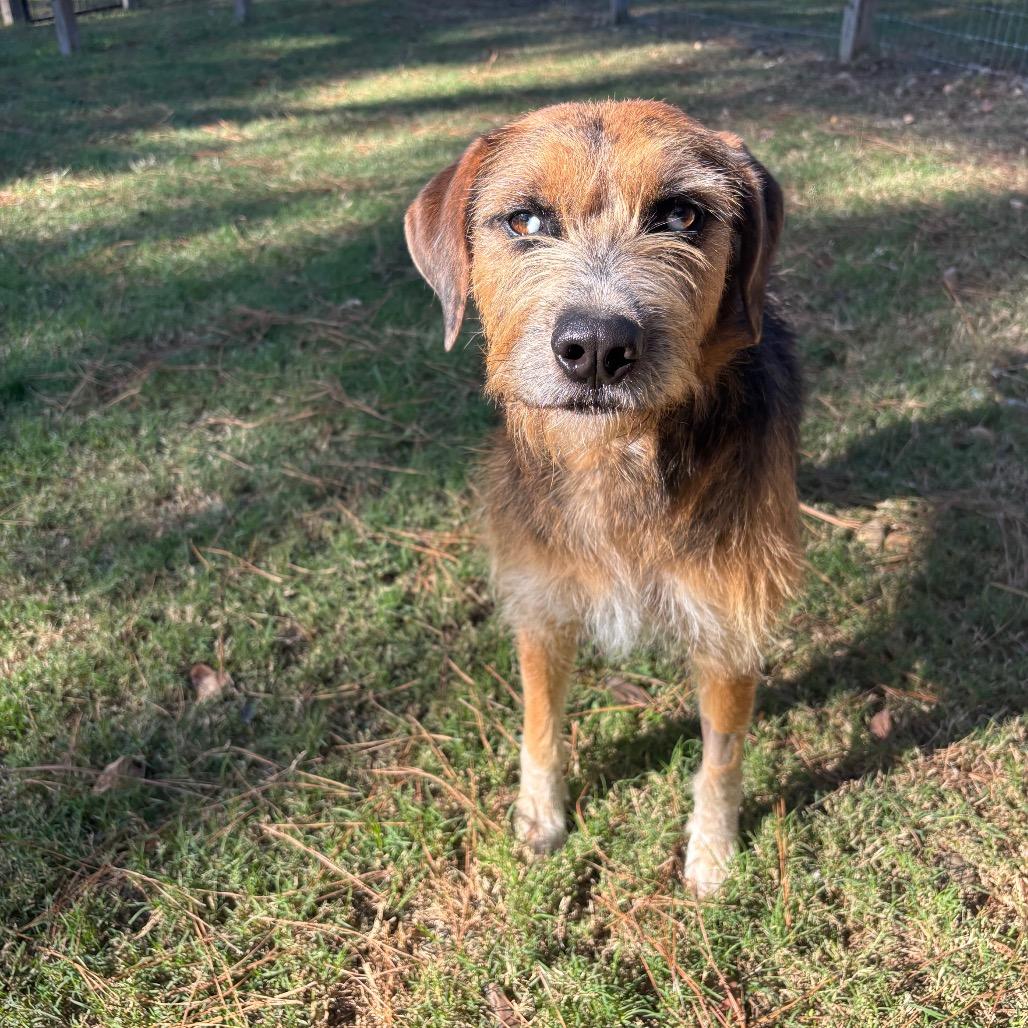 Blythe Blue — thumbnail 2