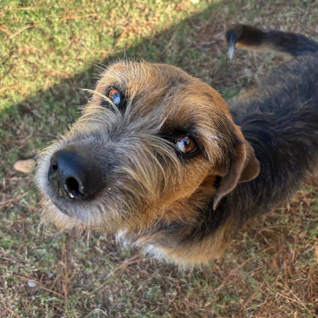 Blythe Blue — thumbnail 4