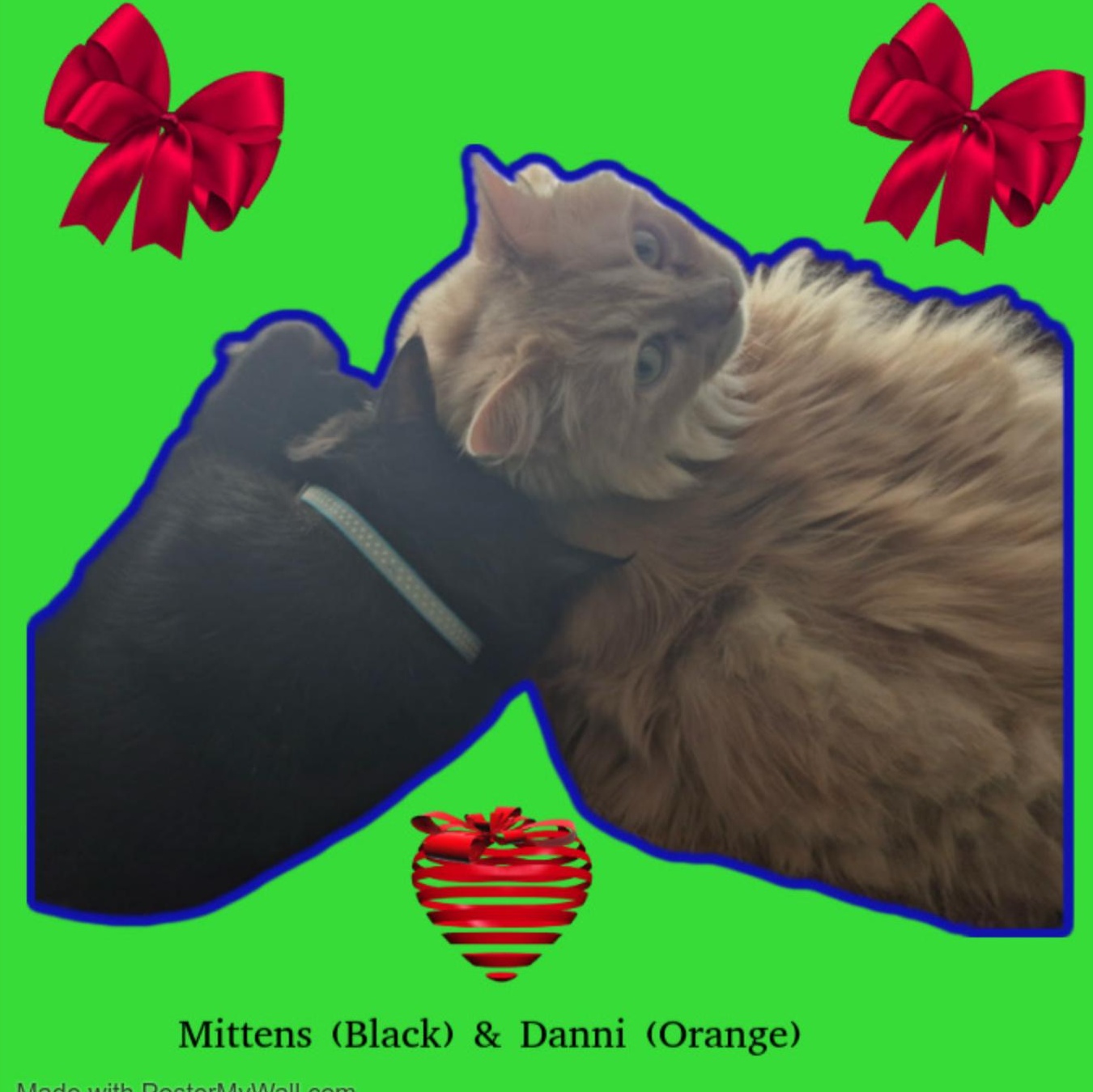 Mittens & Danni - Bonded photo 2