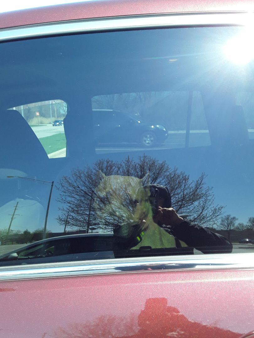 Charity - LOWELL, IN 1