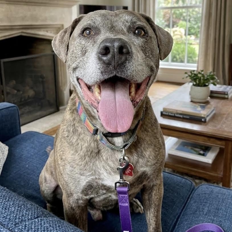 Memphis — thumbnail 3