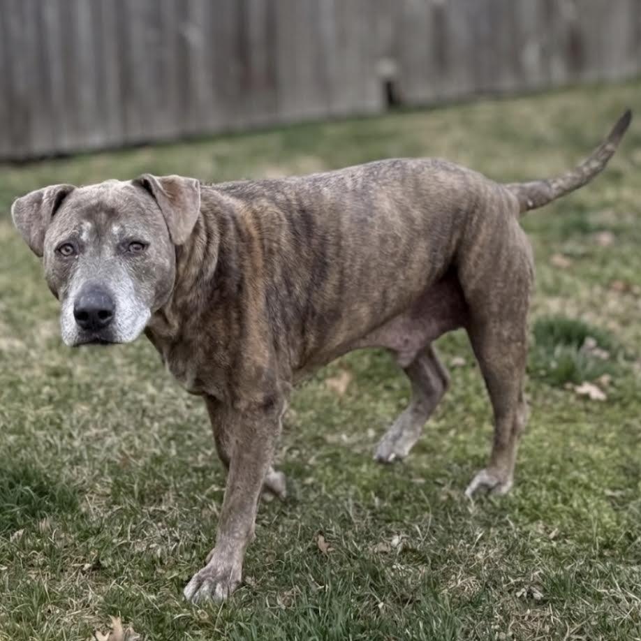 Memphis — thumbnail 4