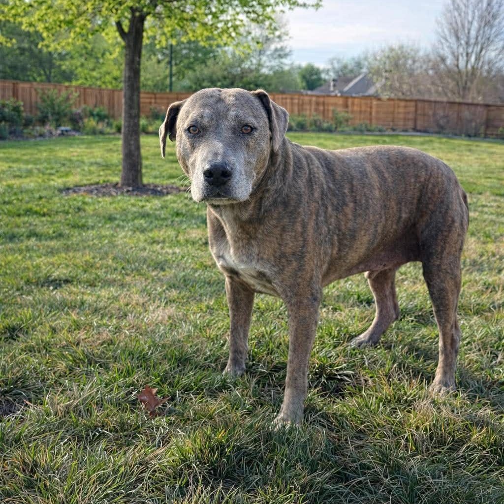 Memphis — thumbnail 5