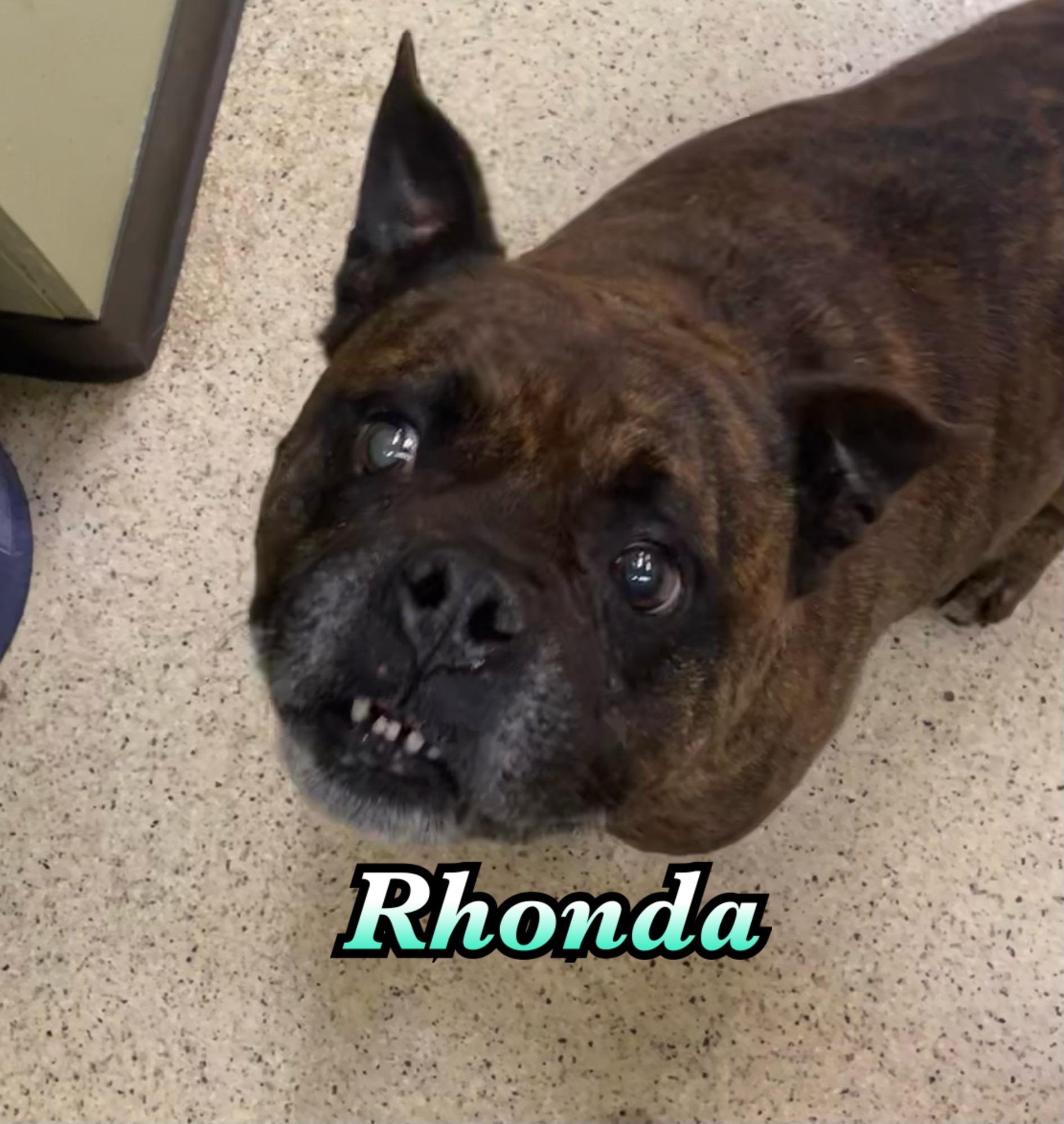 Rhonda