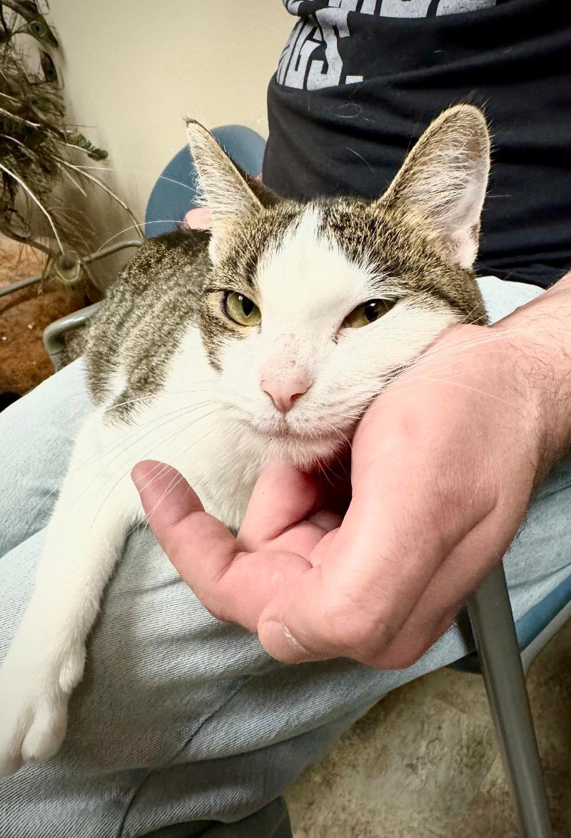 Tuesday **MEET AT AVE SAINTS VET**