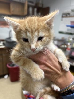 Alex — thumbnail 2