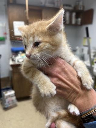 Alex — thumbnail 3