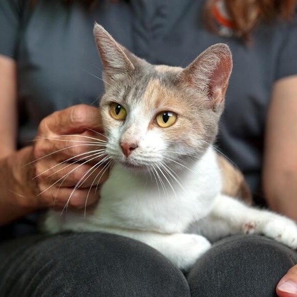 Holly Hobby thumbnail 6