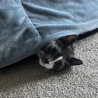 Thor 2 — thumbnail 3