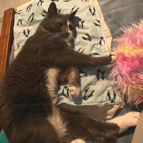 Thor 2 — thumbnail 4