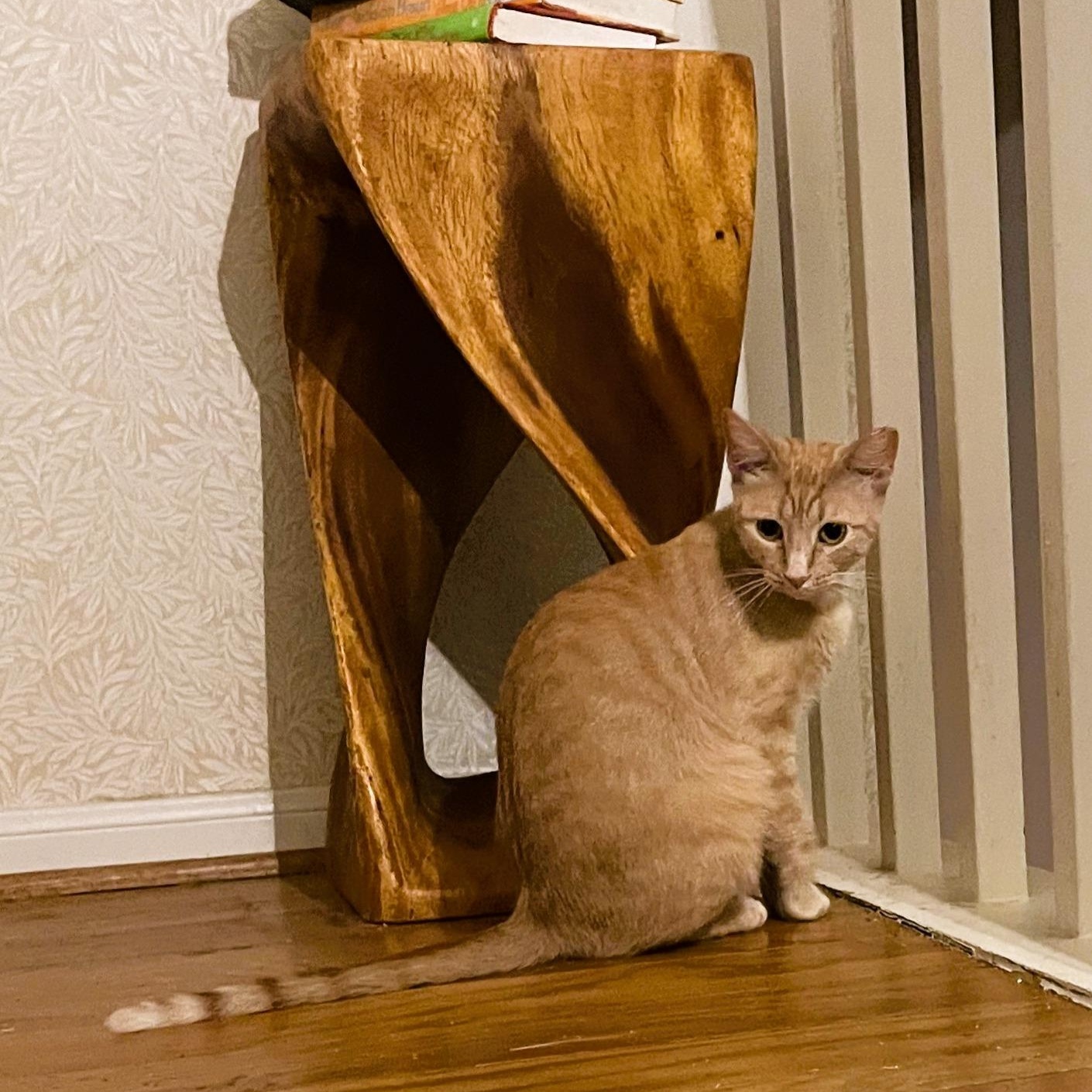 Nora