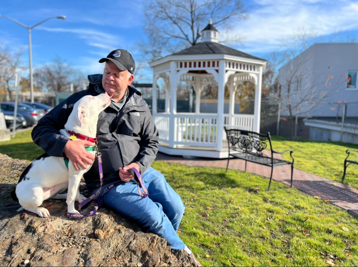 Enlarge Gracie, an adoptable mixed breed in New Rochelle, NY image 3/5