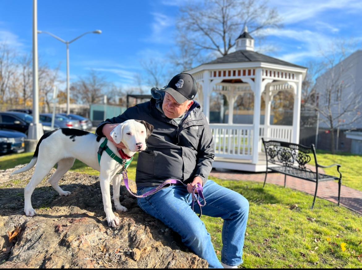 Enlarge Gracie, an adoptable mixed breed in New Rochelle, NY image 1/5