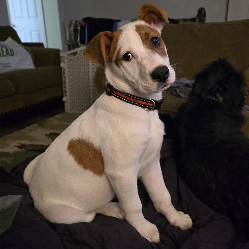 Netflix — thumbnail 3