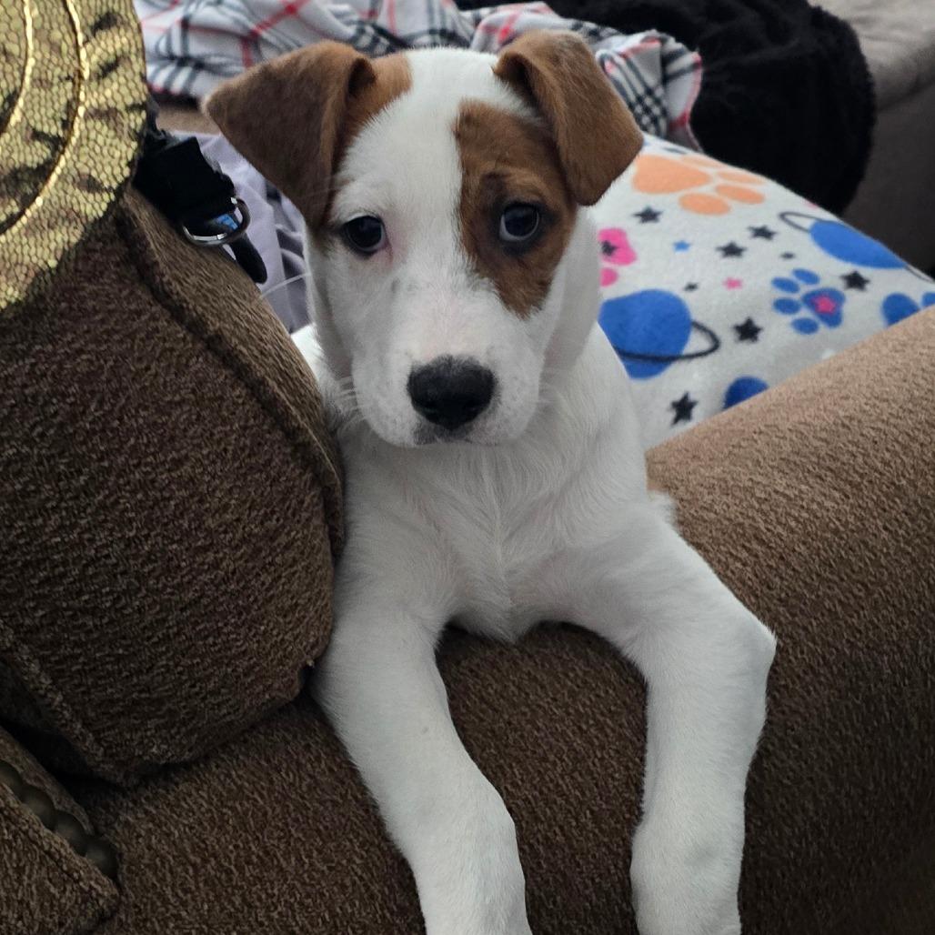 Netflix — thumbnail 4