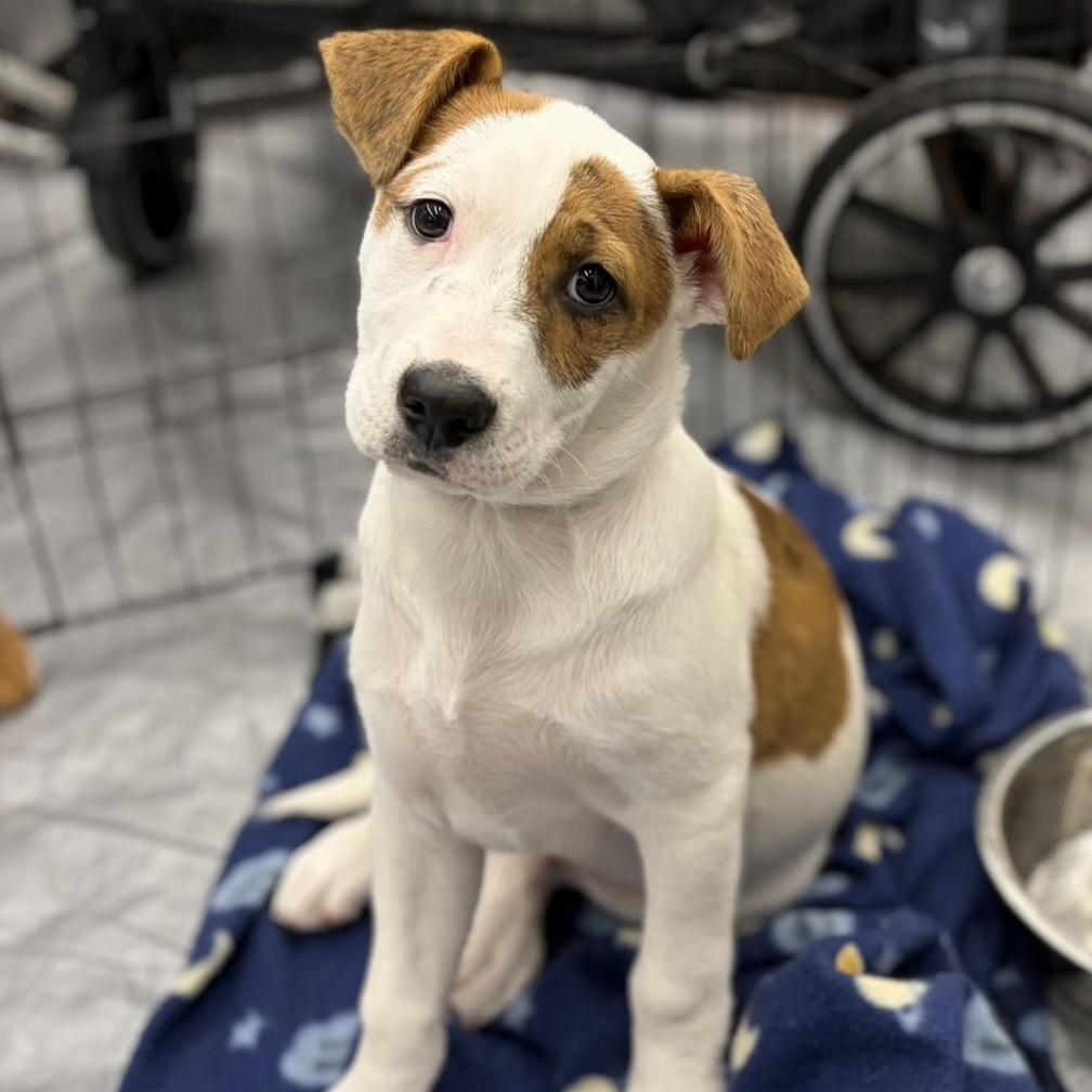 Netflix — thumbnail 5