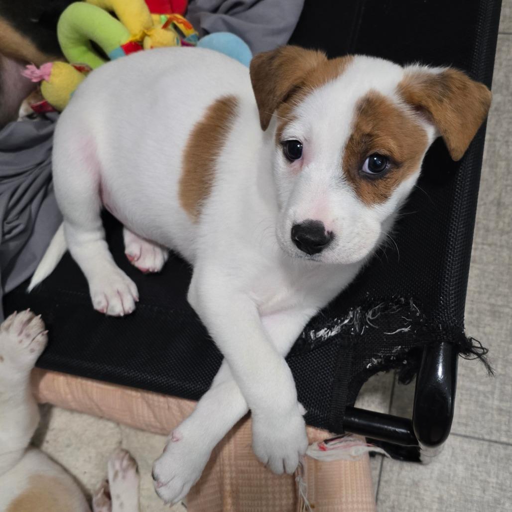 Netflix — thumbnail 6