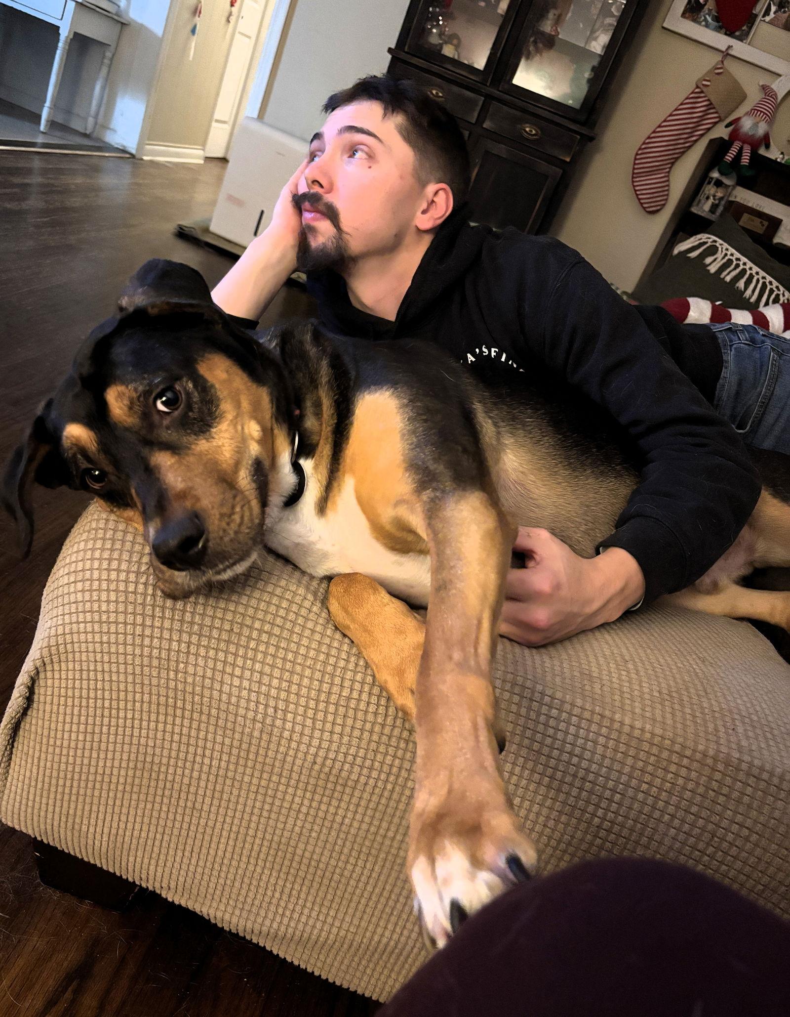 Mack, a Adopted mixed breed in Auburn, GA image 3/3