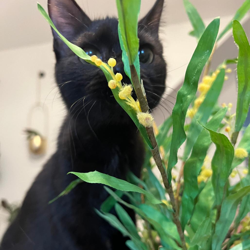 Celia Mae thumbnail 3