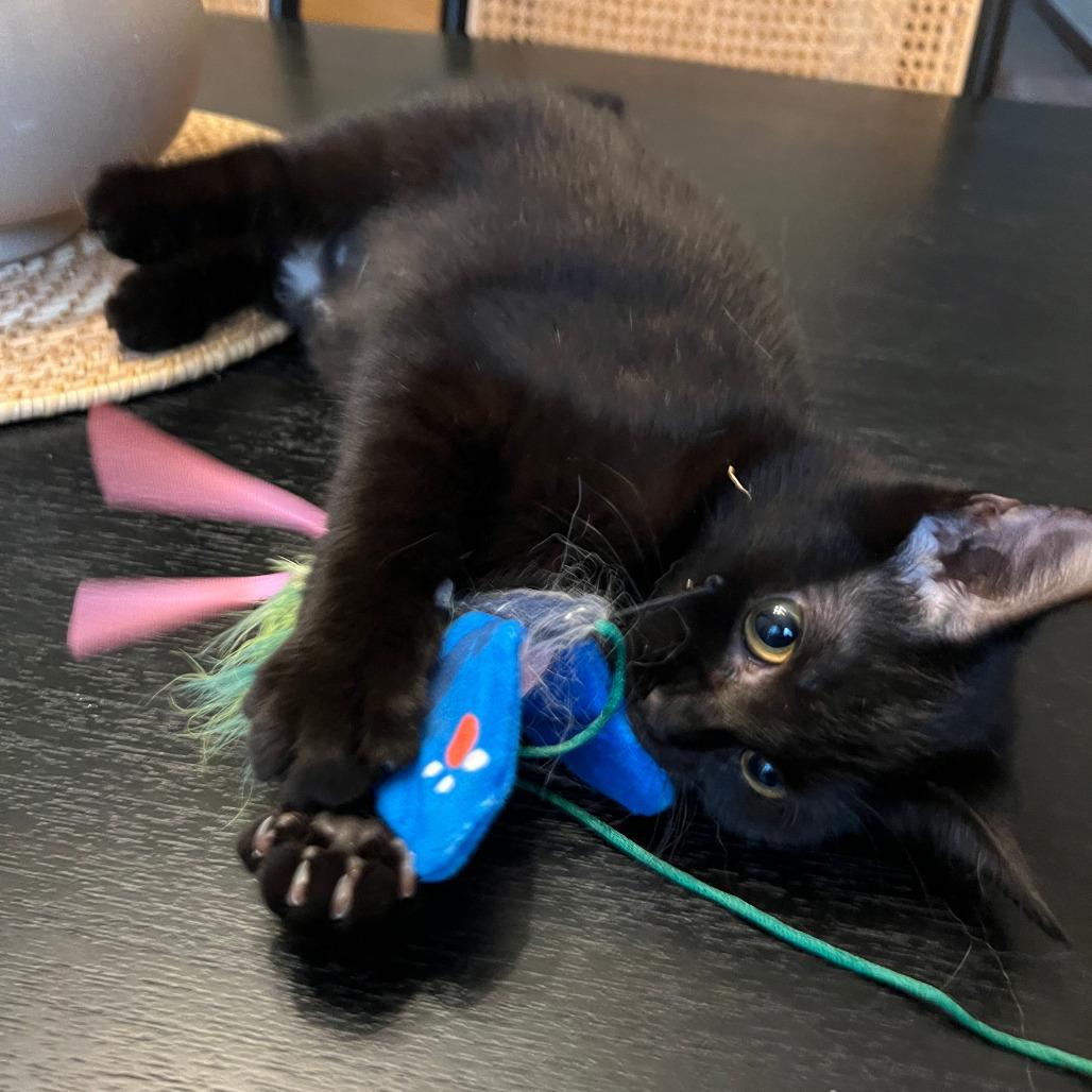 Celia Mae thumbnail 5