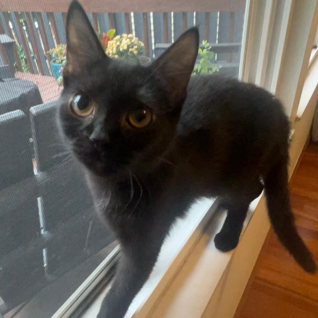 Celia Mae thumbnail 7