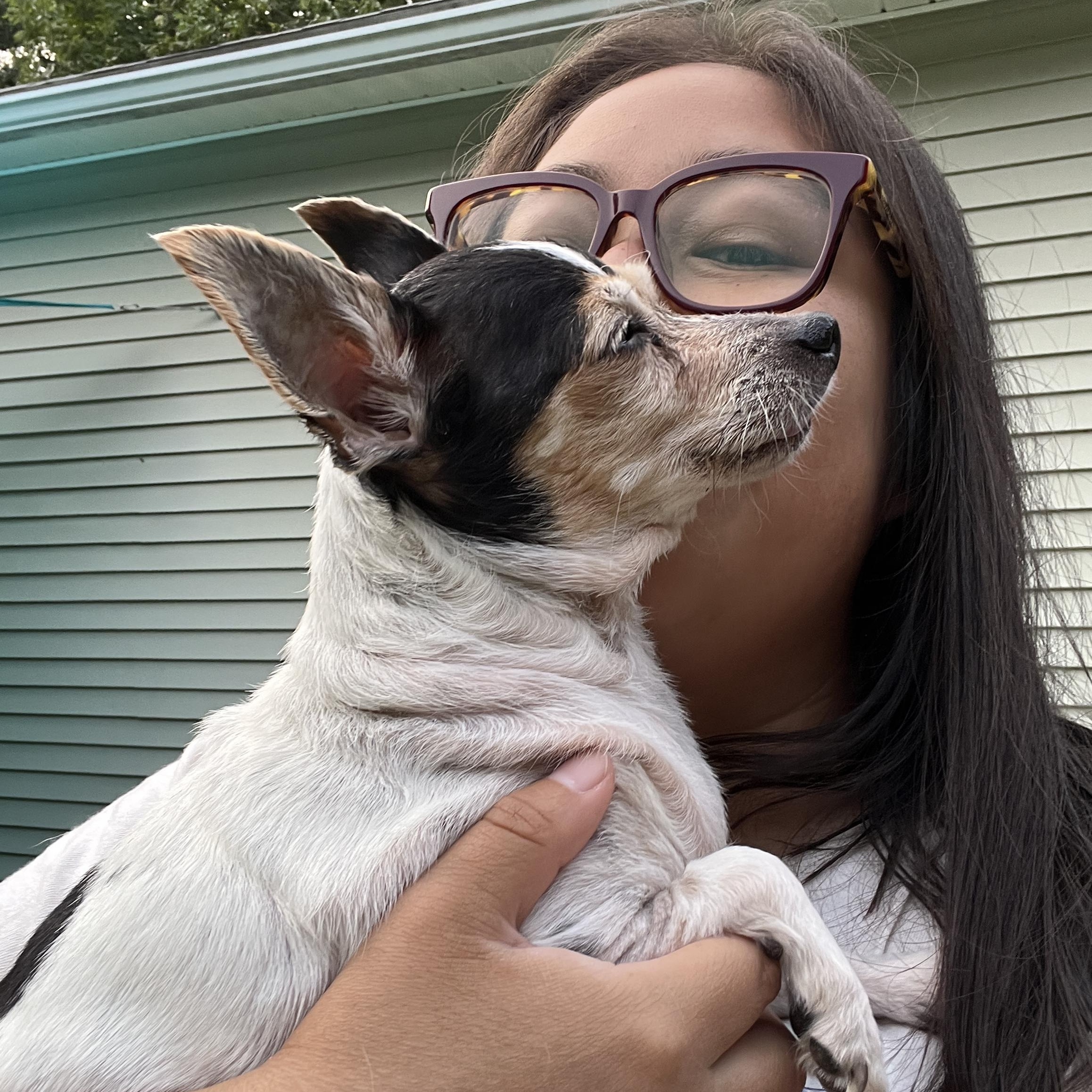 Mandy, adopted, Senior Female Mixed Breed.