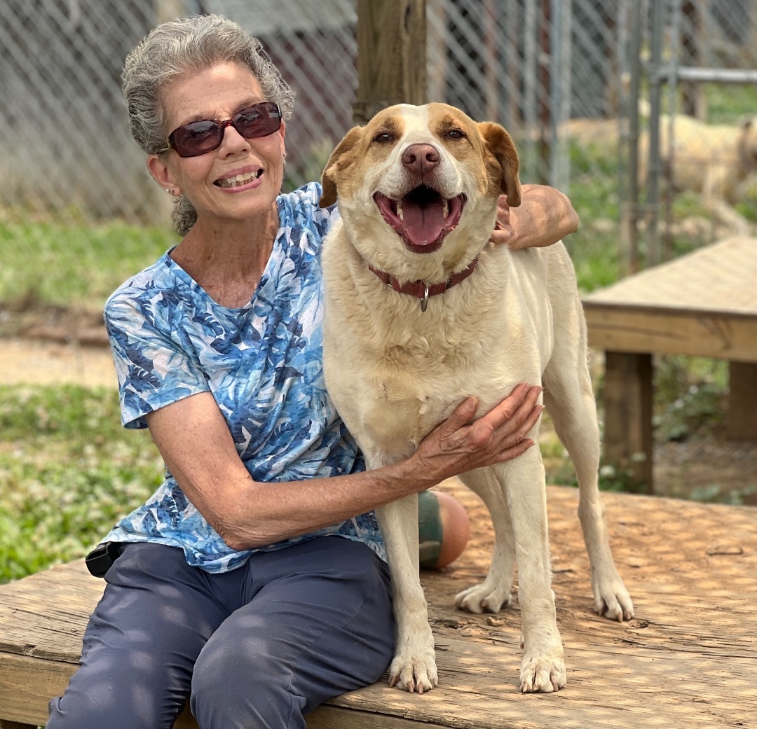 Olive, a Adoptable mixed breed in Palmyra, VA image 5/6