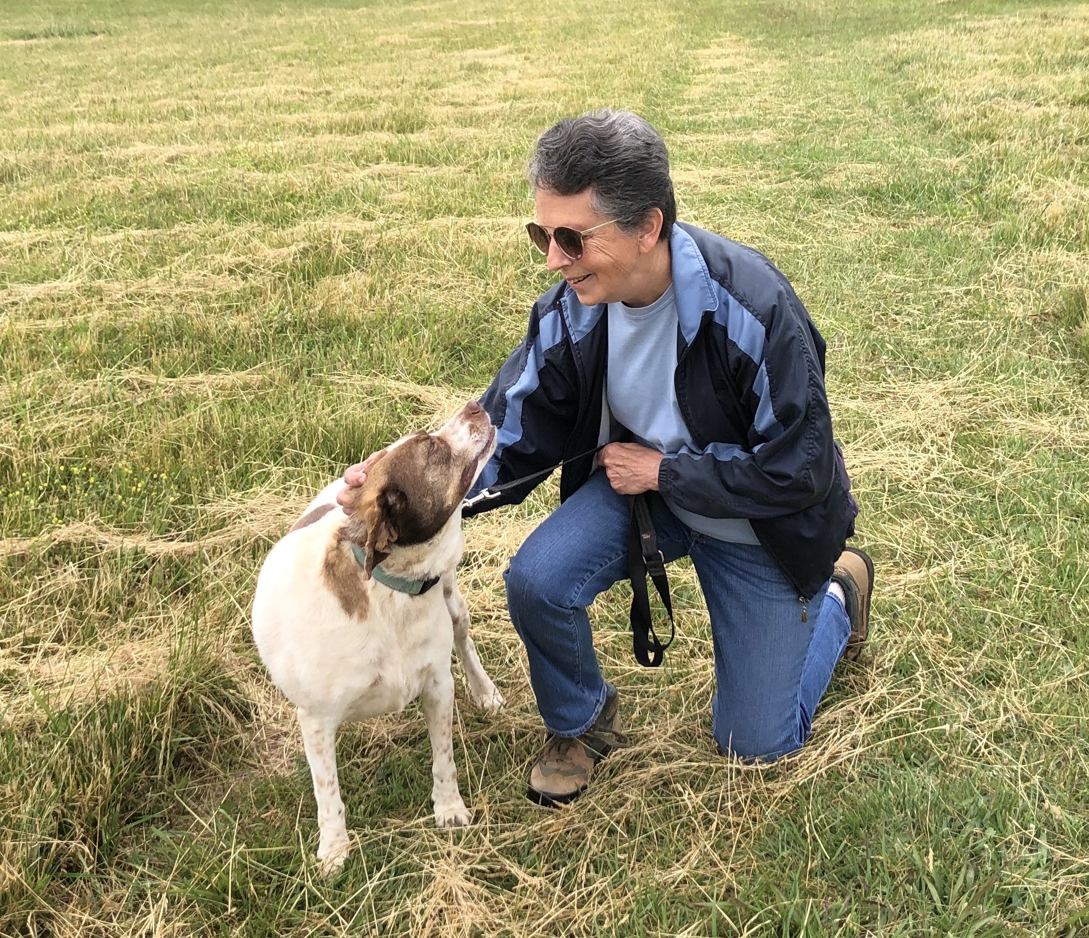 Olive, a Adoptable mixed breed in Palmyra, VA image 6/6