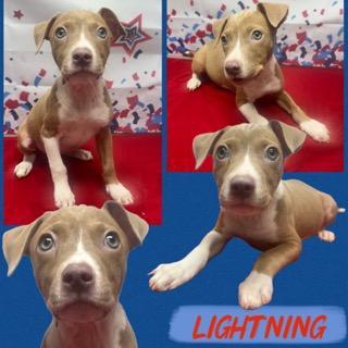 Lightning