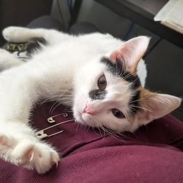 Dior — thumbnail 2